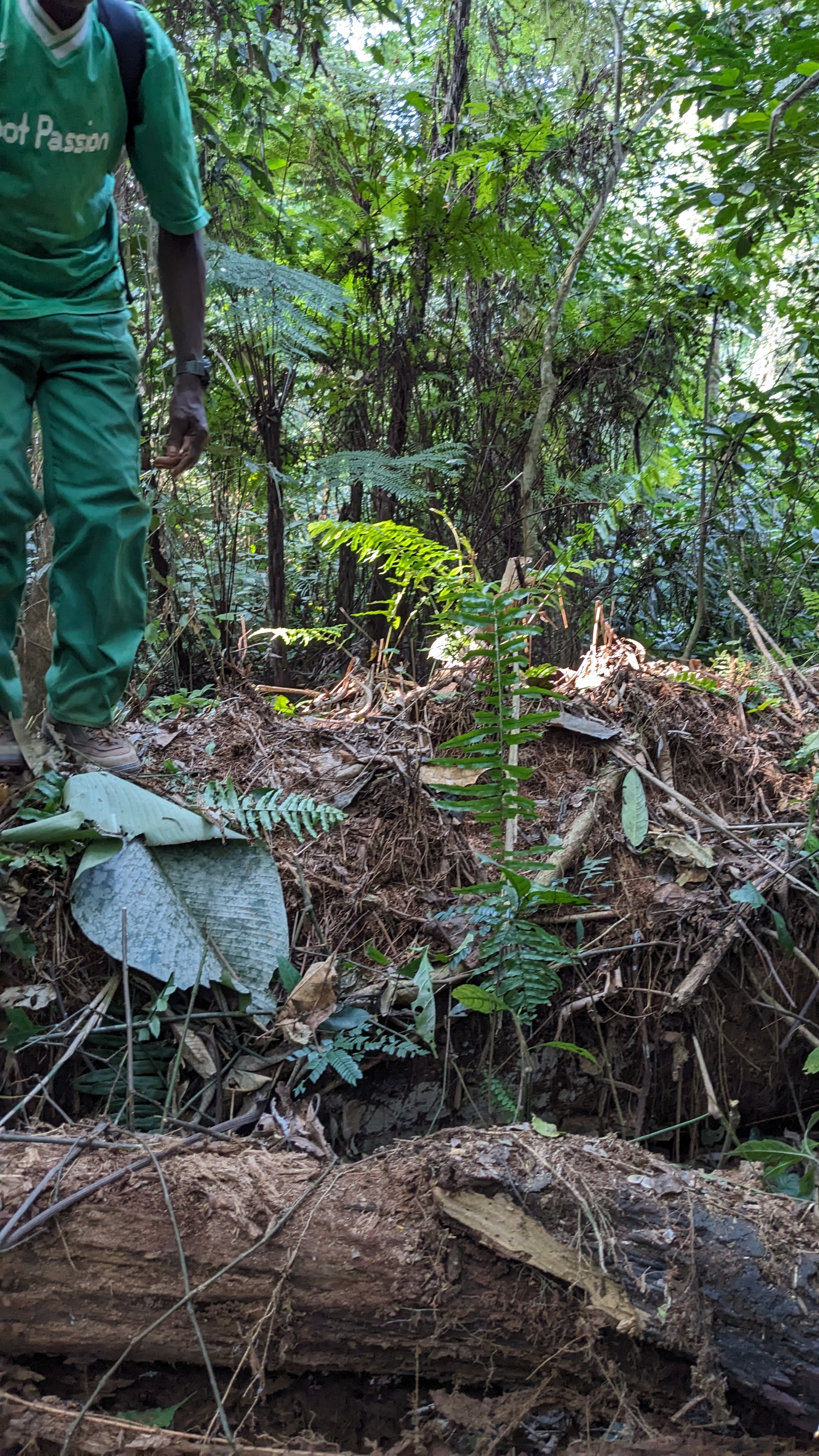Visite d'une jachère